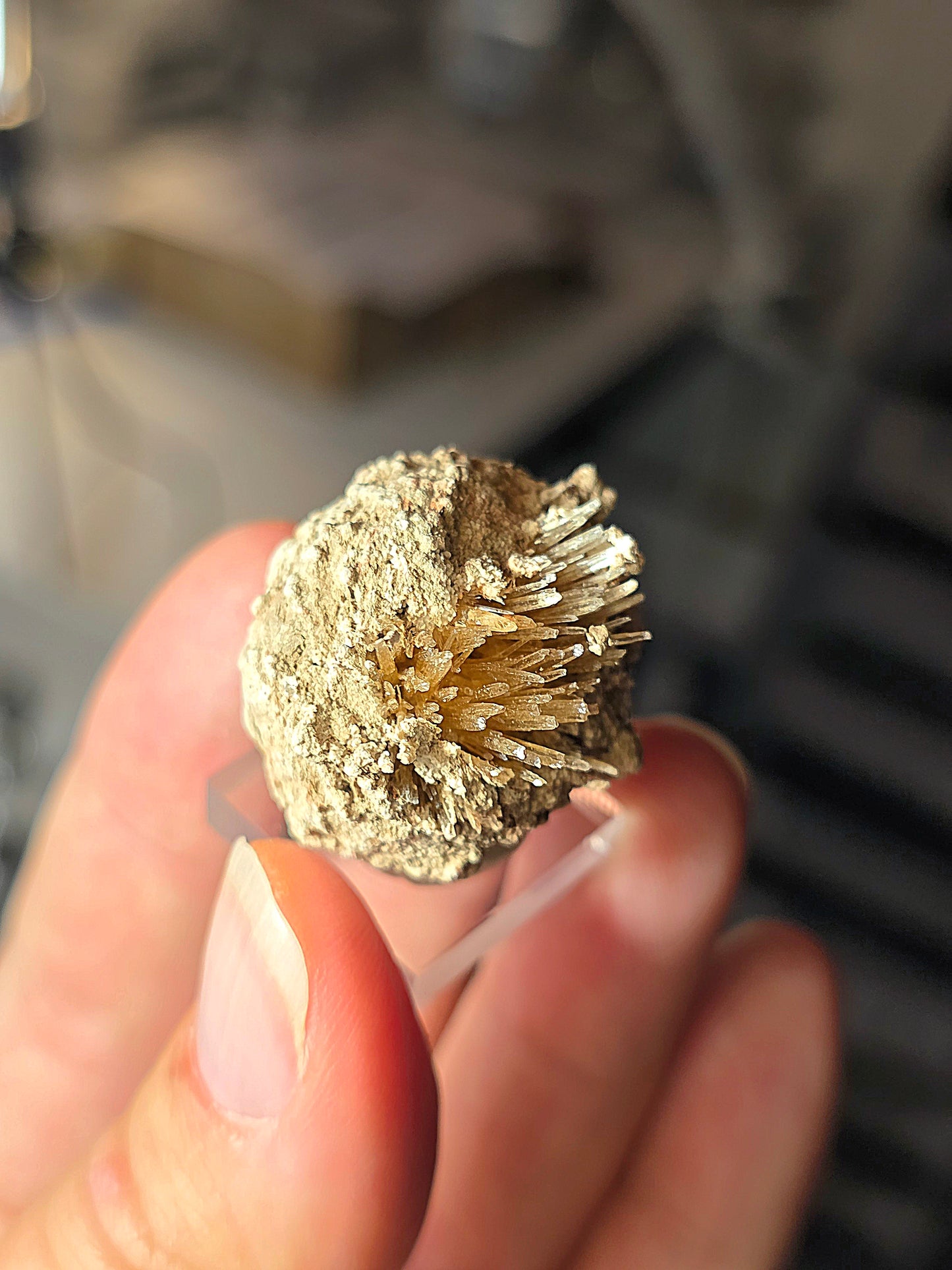 Aragonite corollaire française n°5