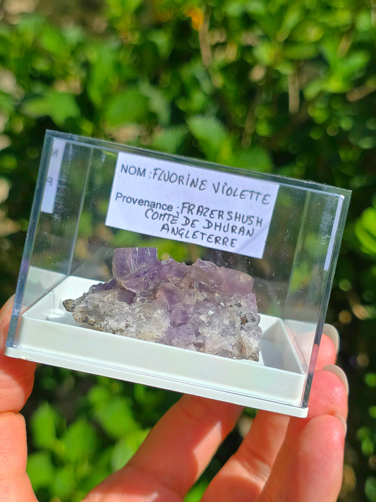 Fluorite violette brute d'Angleterre