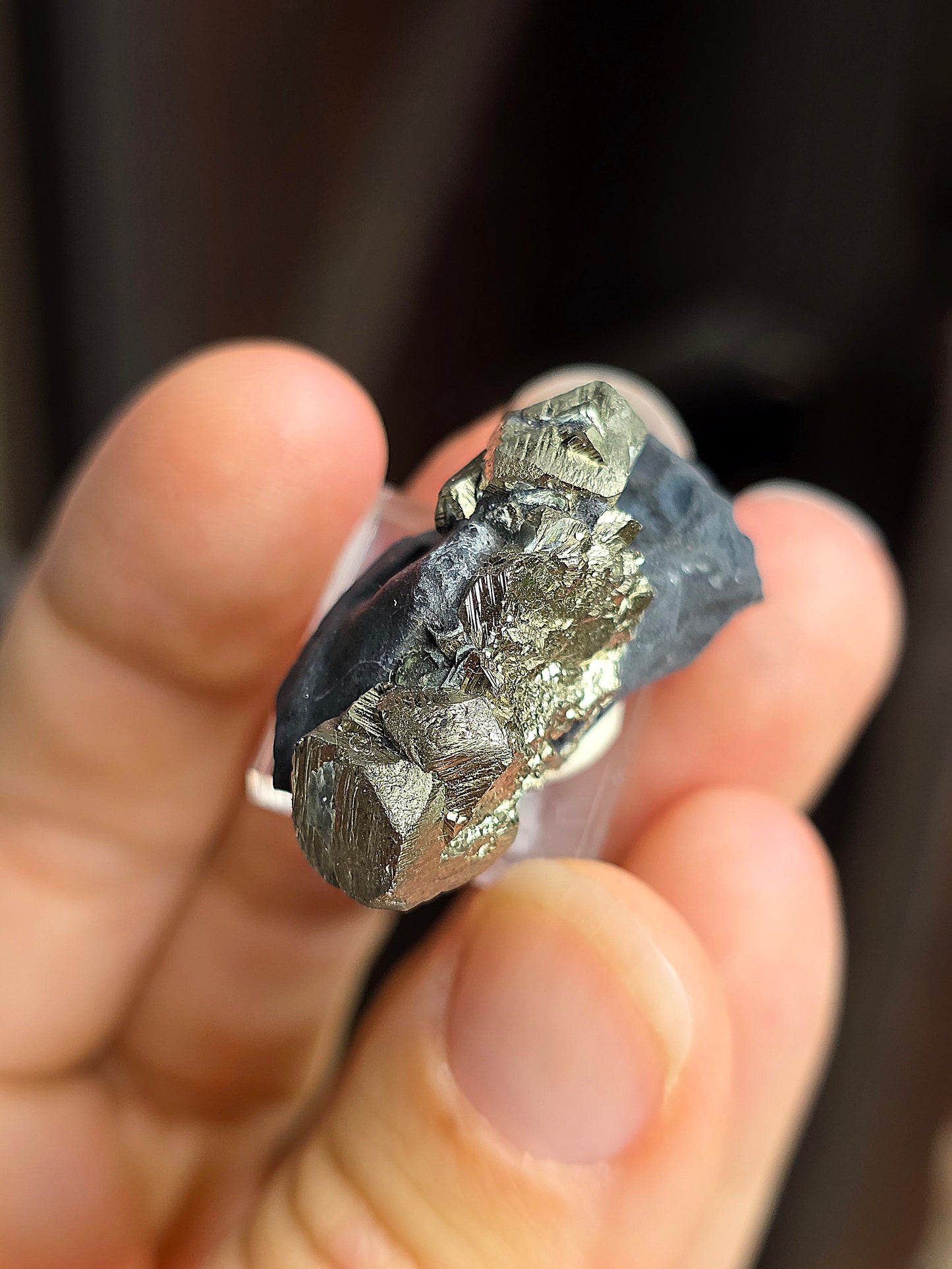 Pyrite sur Schiste n°2