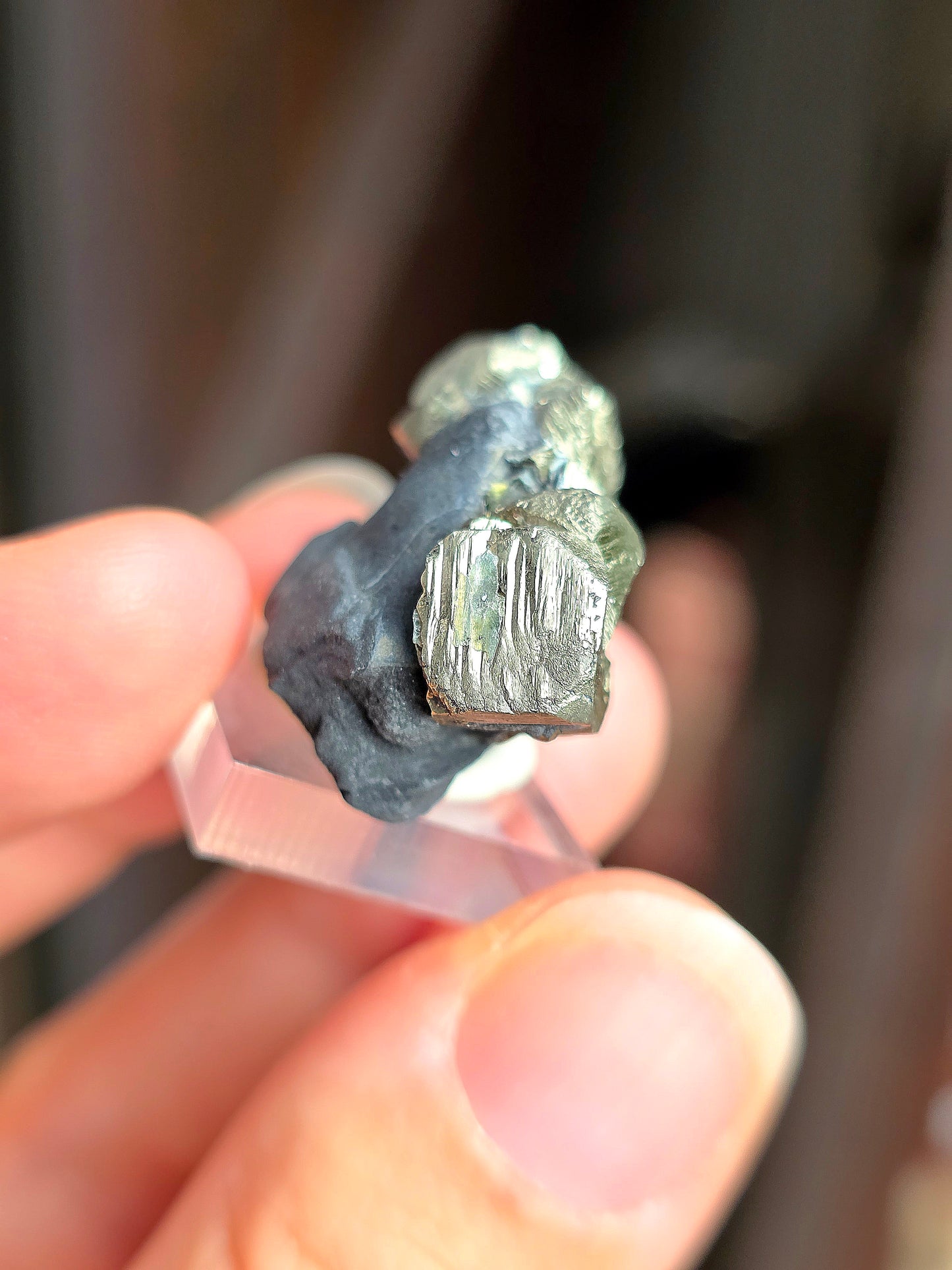 Pyrite sur Schiste n°2