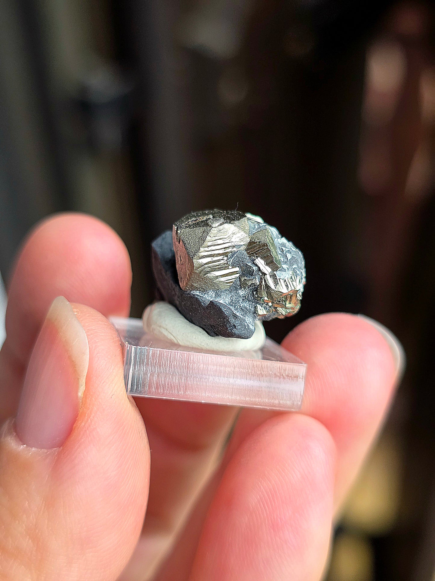 Pyrite sur Schiste n°7