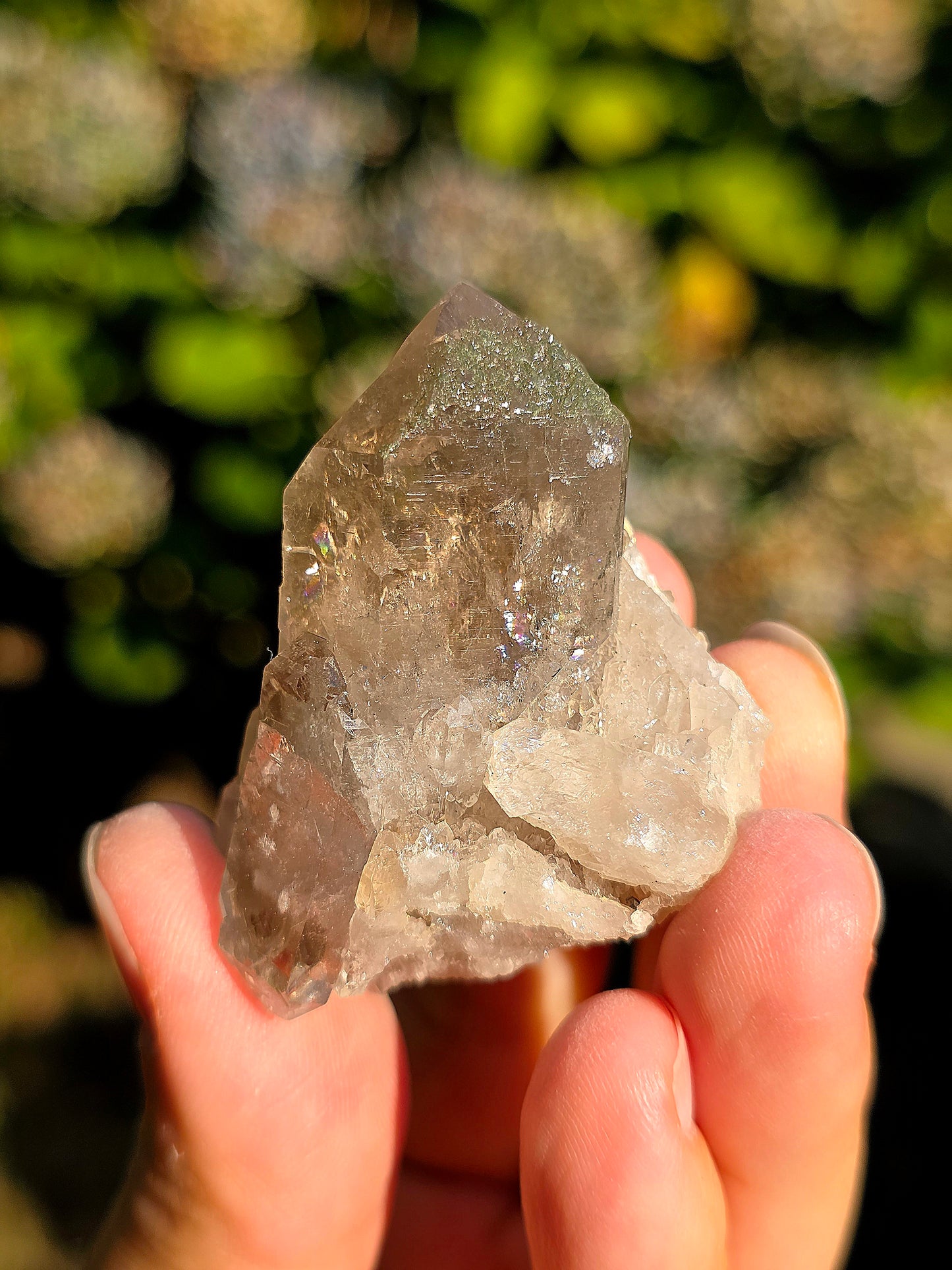 Quartz fumé des Pyrénées n°30
