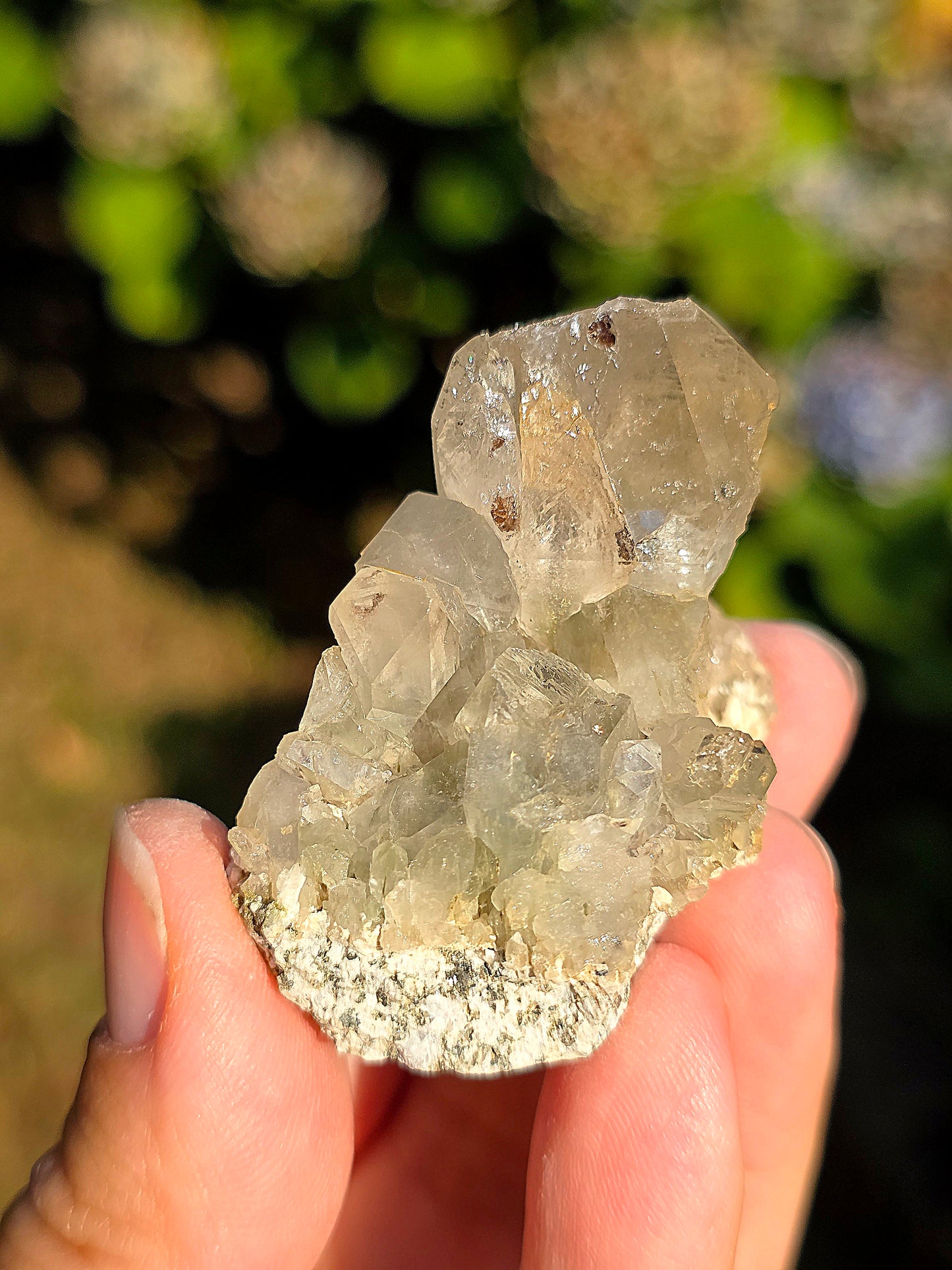 Quartz des Pyrénées avec Byssolite