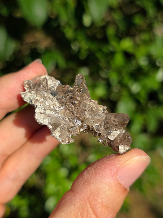 Quartz fumé des Pyrénées n°22