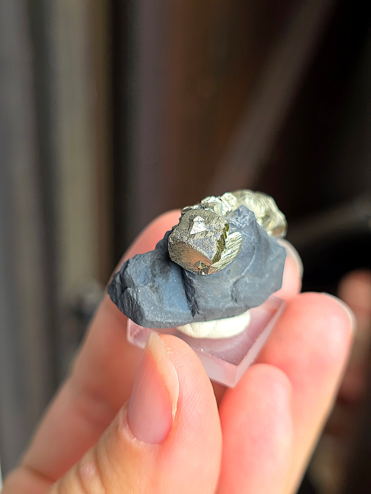 Pyrite sur Schiste n°2