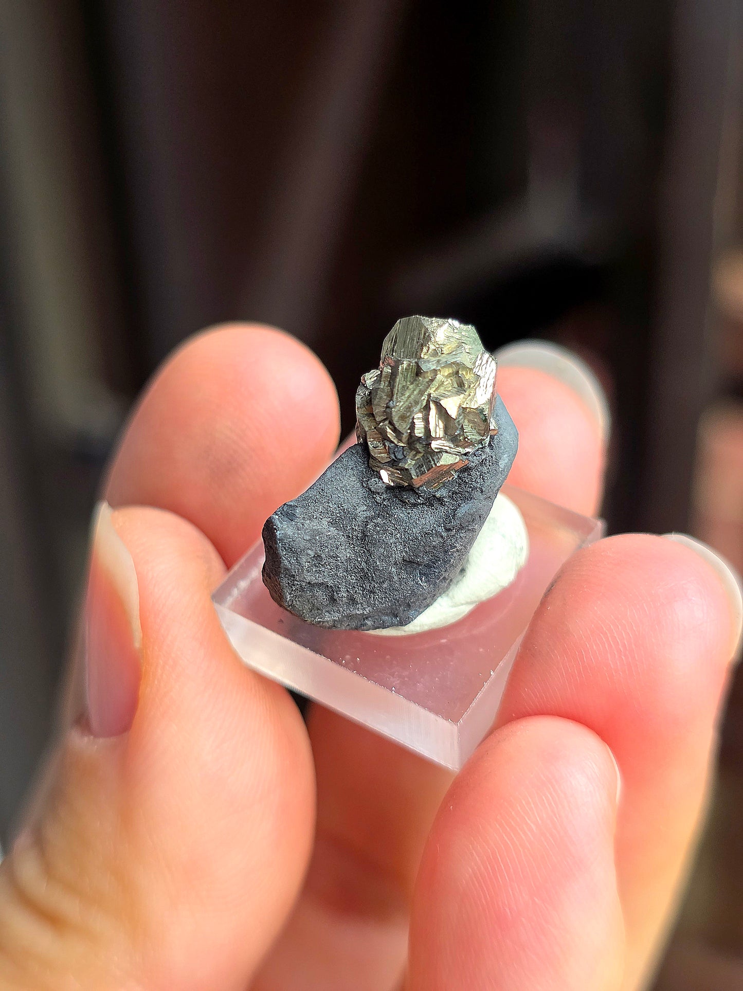 Pyrite sur Schiste n°8