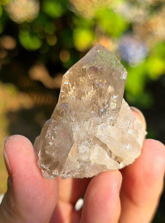 Quartz fumé des Pyrénées n°30