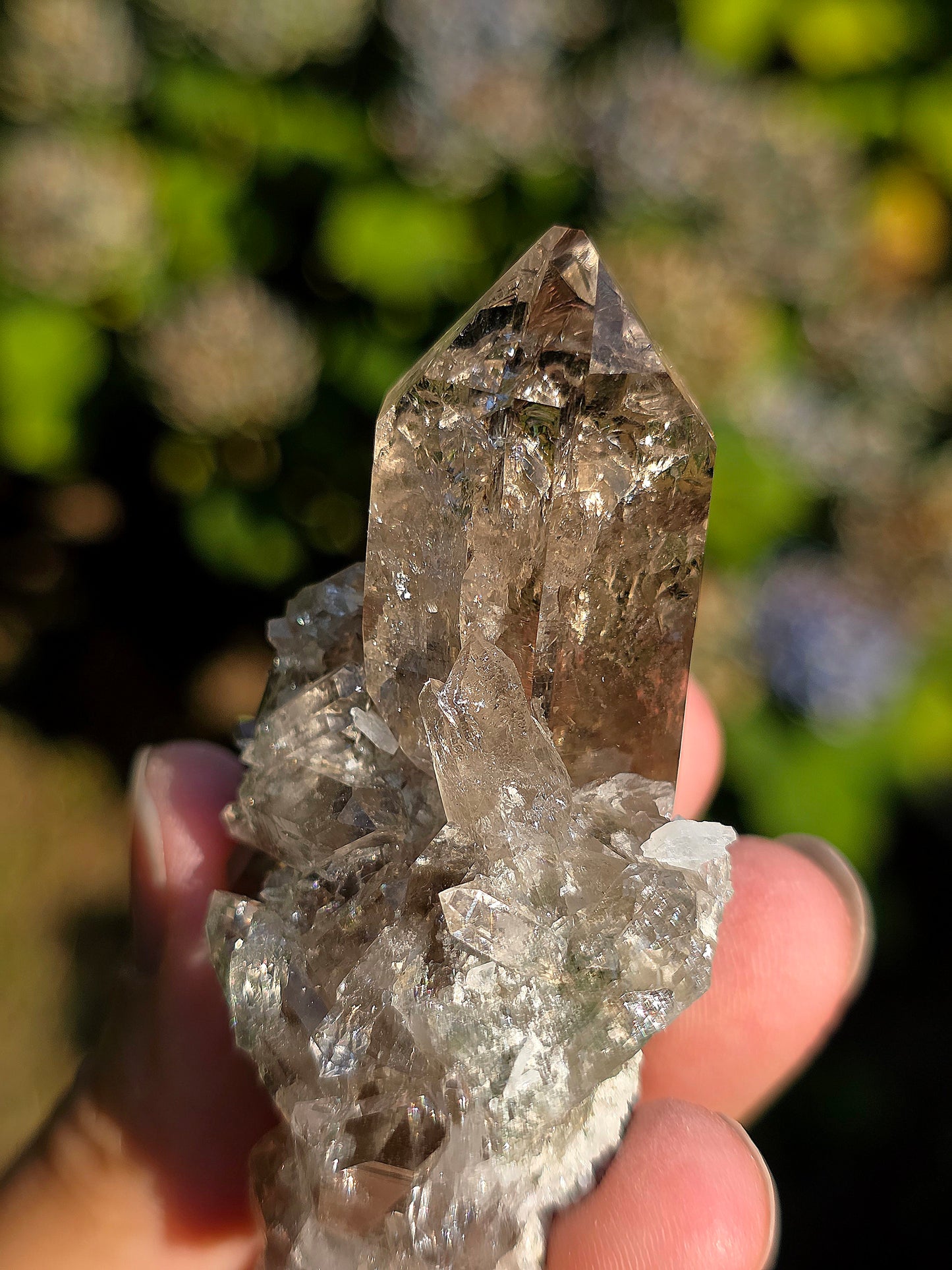 Superbe Quartz fumé des Pyrénées n°31