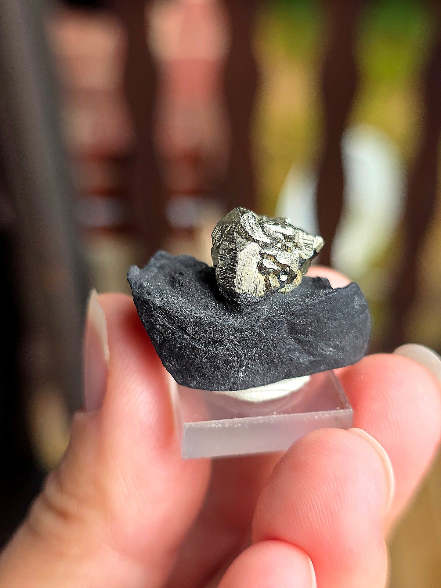 Pyrite sur Schiste n°1