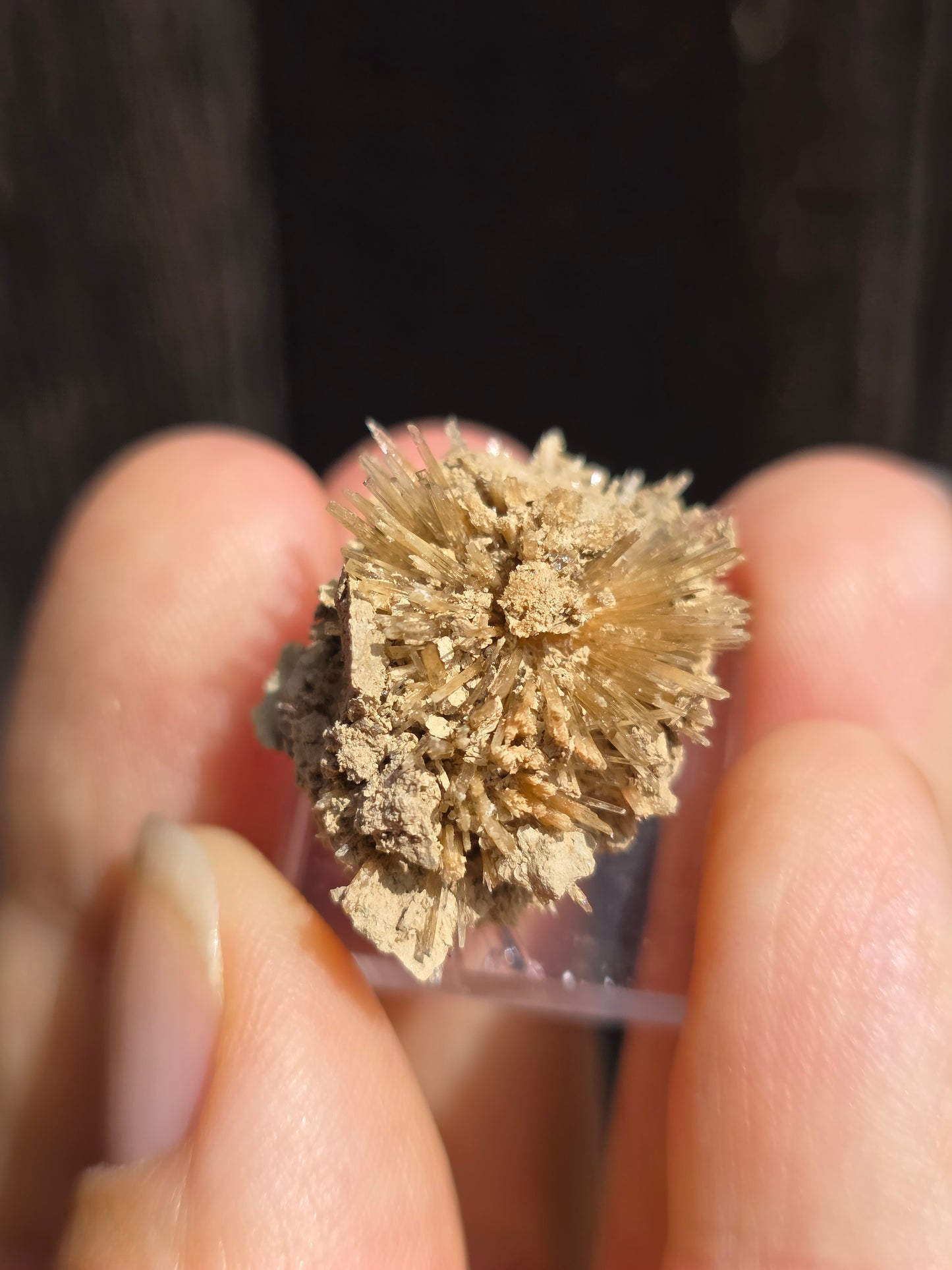 Aragonite corollaire française n°8