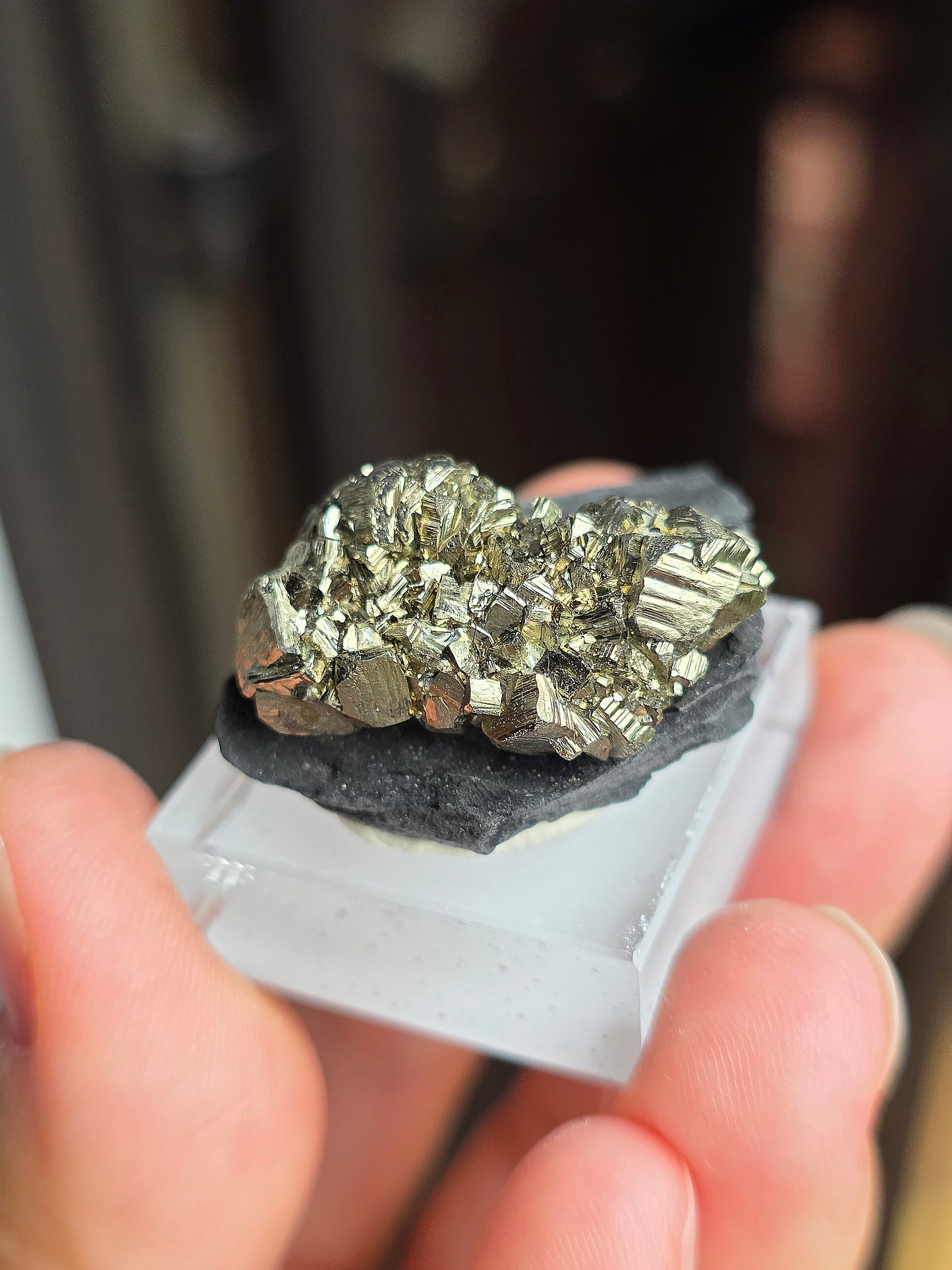 Pyrite sur Schiste n°11