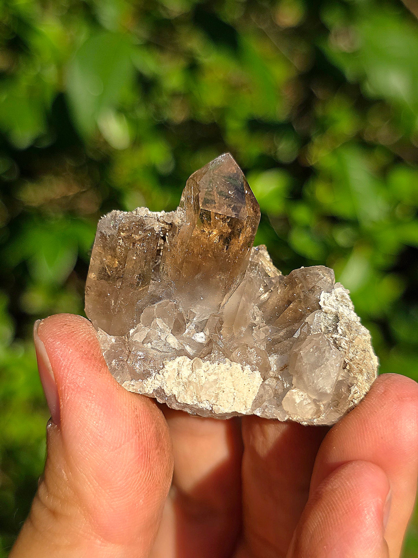Quartz fumé des Pyrénées n°23