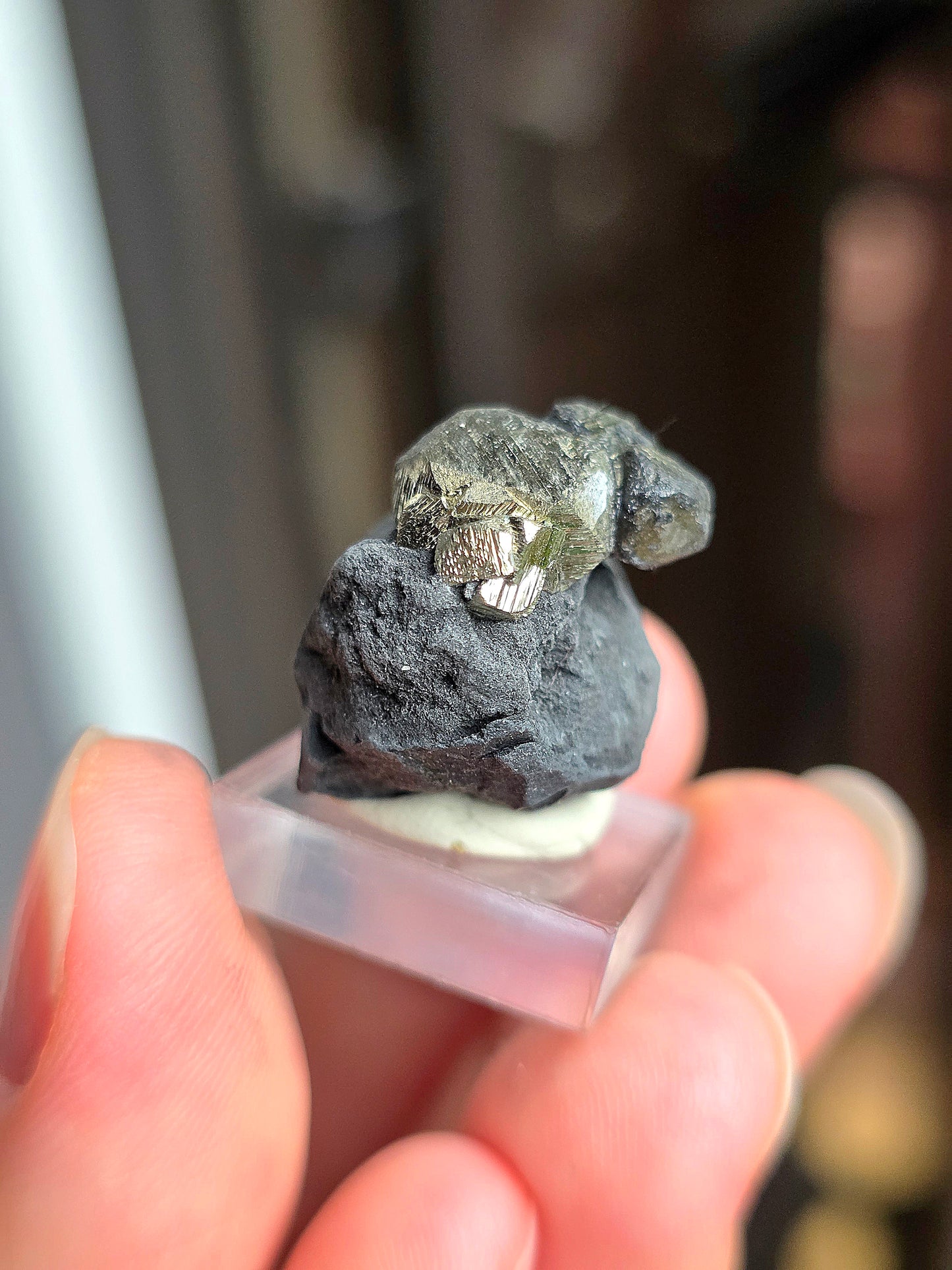 Pyrite sur Schiste n°10