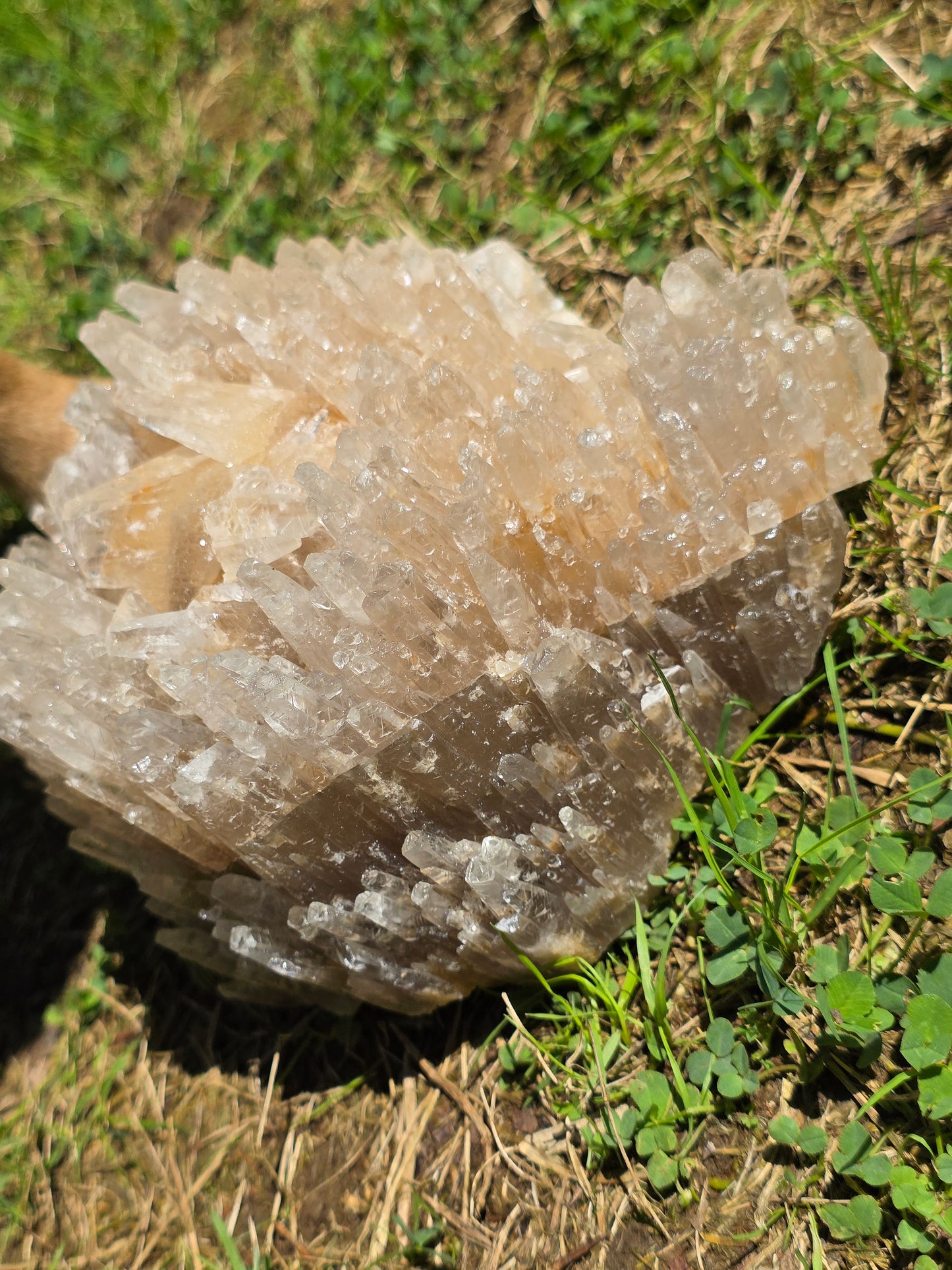 Superbe Calcite miel française (vidéo)