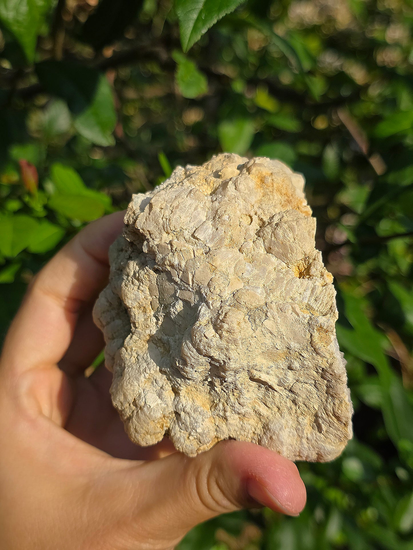 Demi géode Quartz des Landes