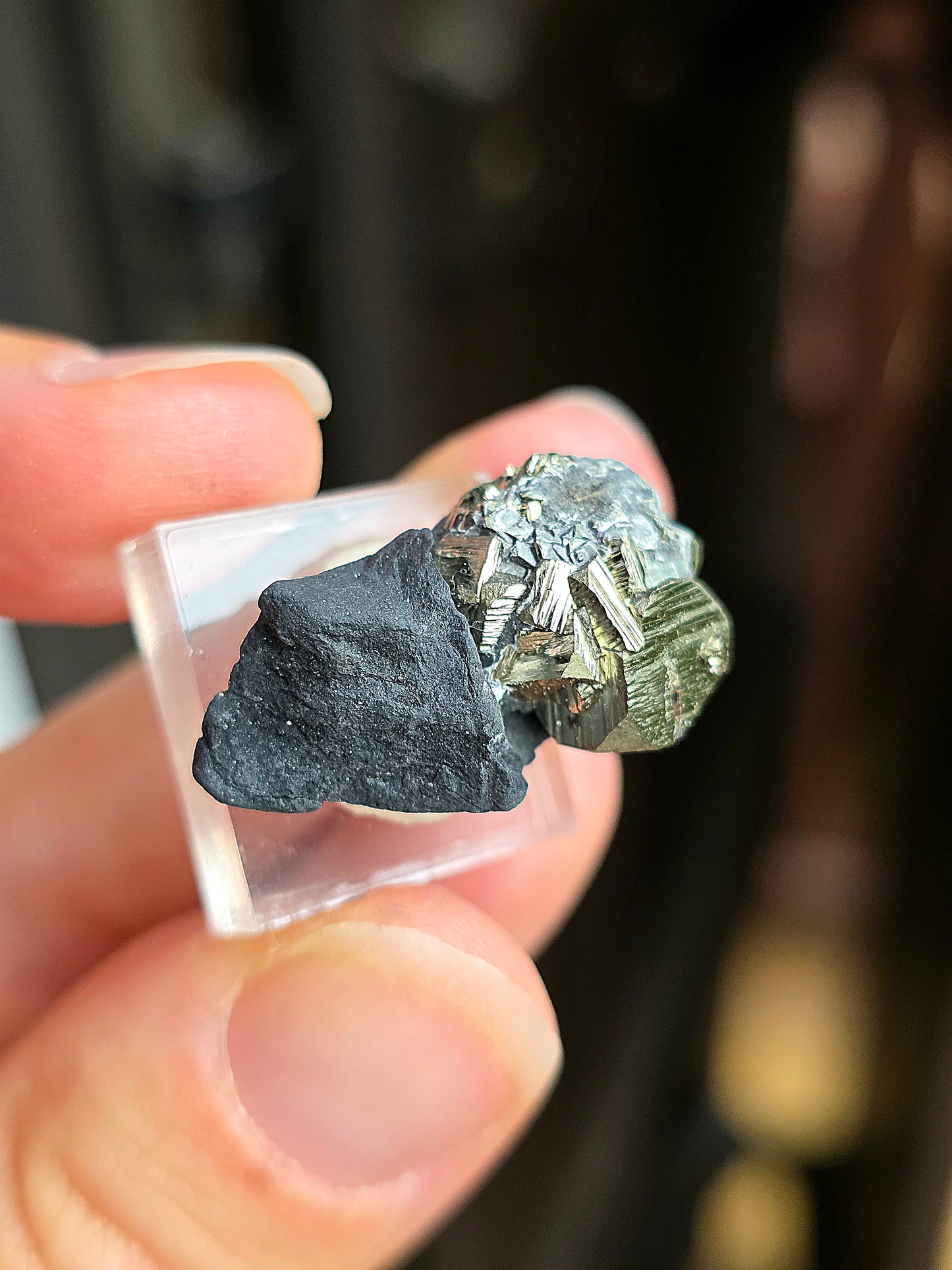 Pyrite sur Schiste n°7