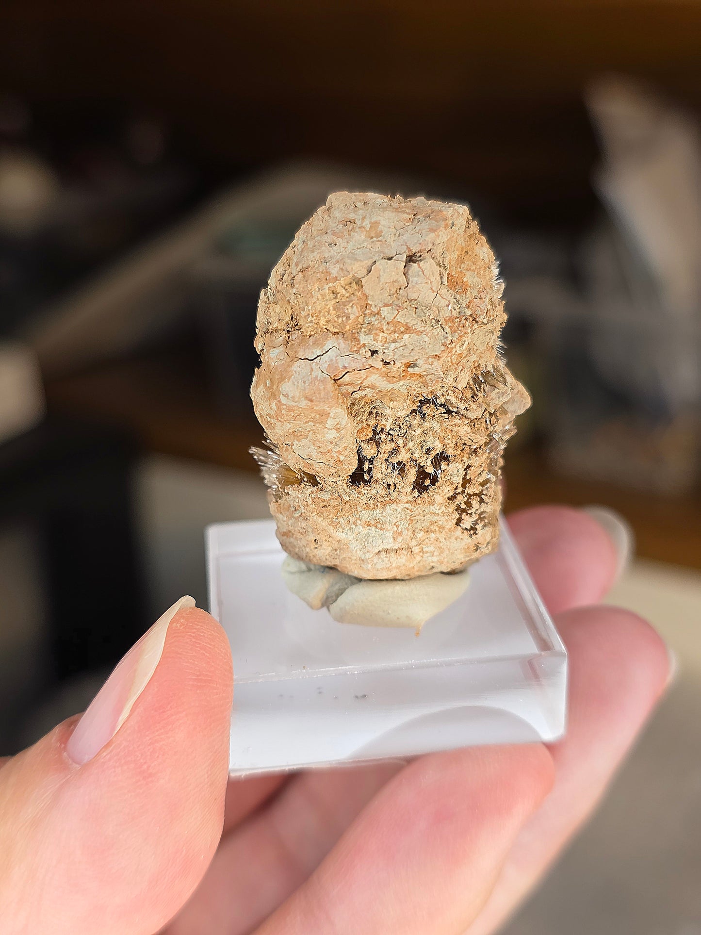 Aragonite corollaire française n°3