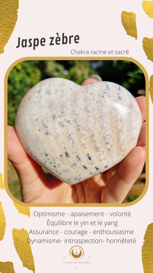 Pierre roulée Jaspe Zèbre