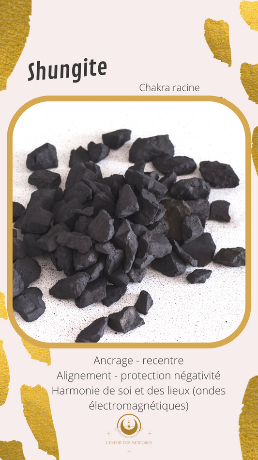 Pierre roulée Shungite