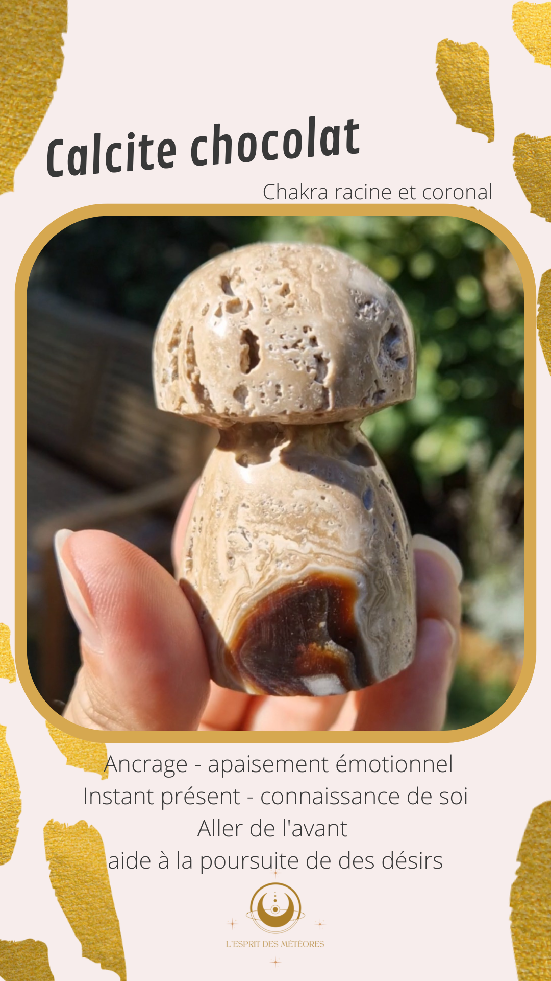 Champignon Calcite chocolat