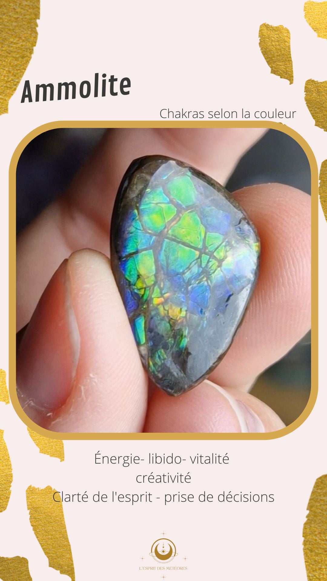 Ammolite (à choisir)