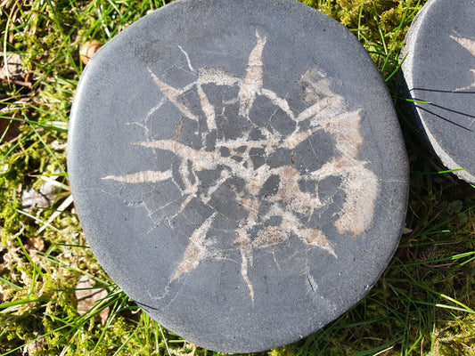 Nodule Septaria français A