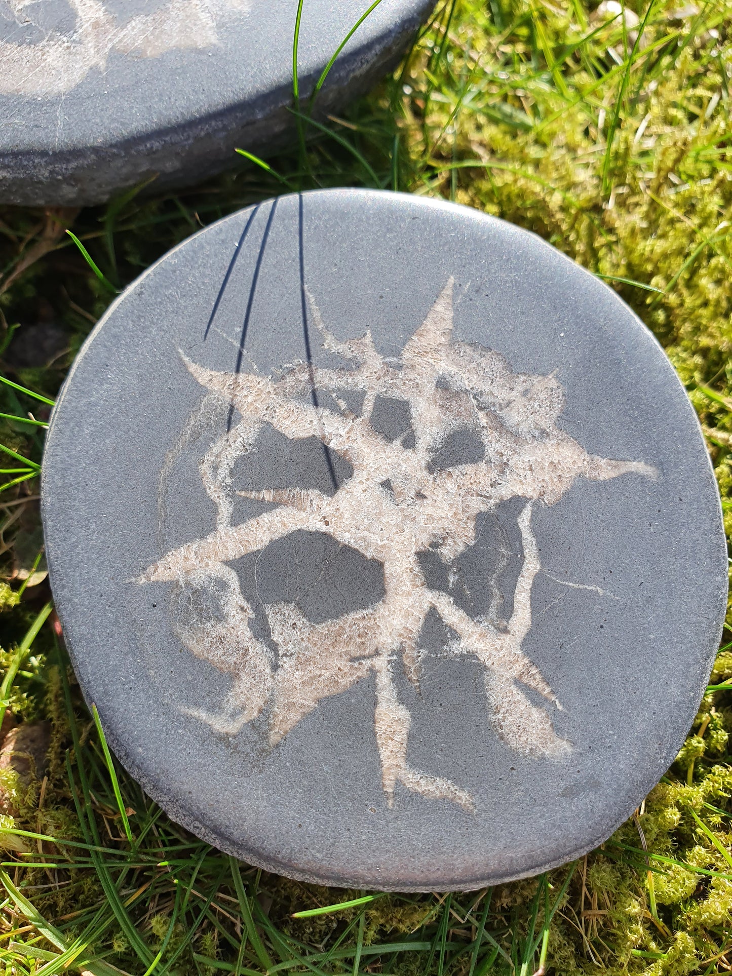 Nodule de Septaria français D