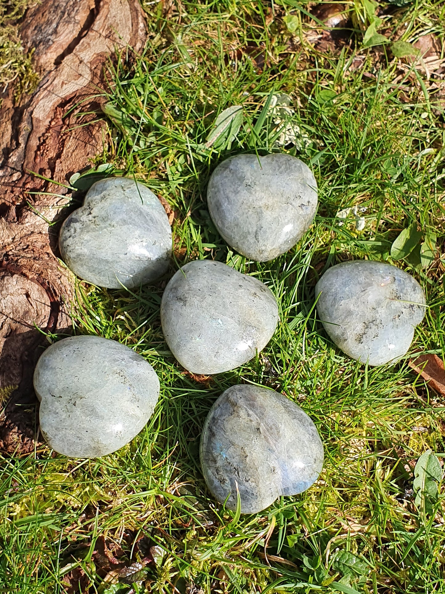 Cœur Labradorite