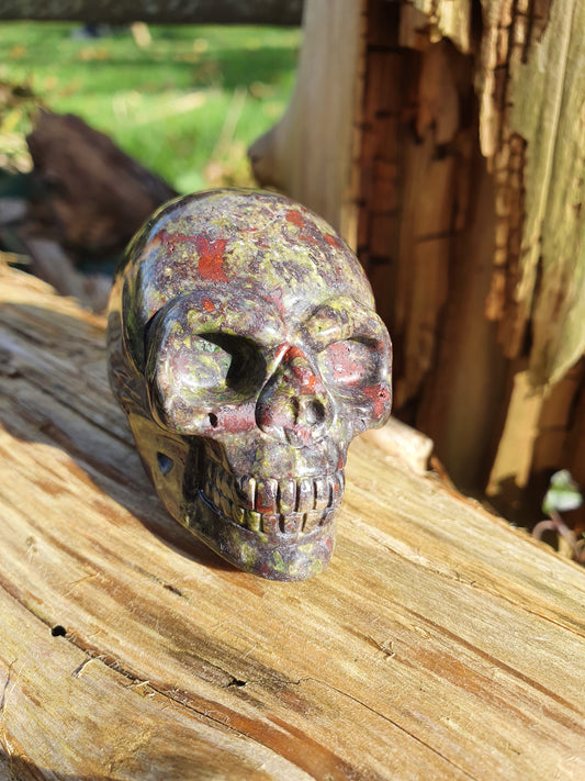 Crâne Jaspe sang de dragon