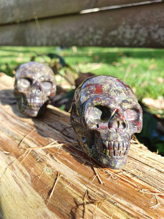 Crâne Jaspe sang de dragon