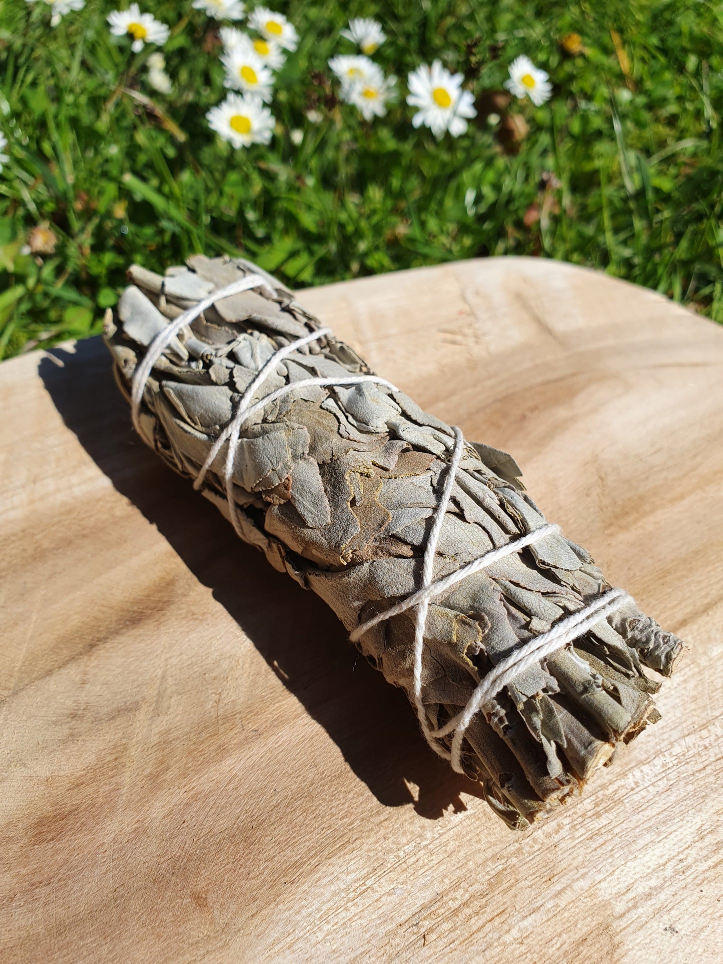 Bâton de sauge blanche