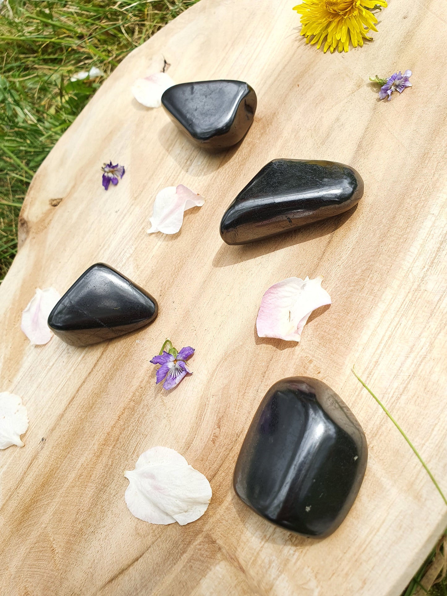 Pierre roulée Shungite