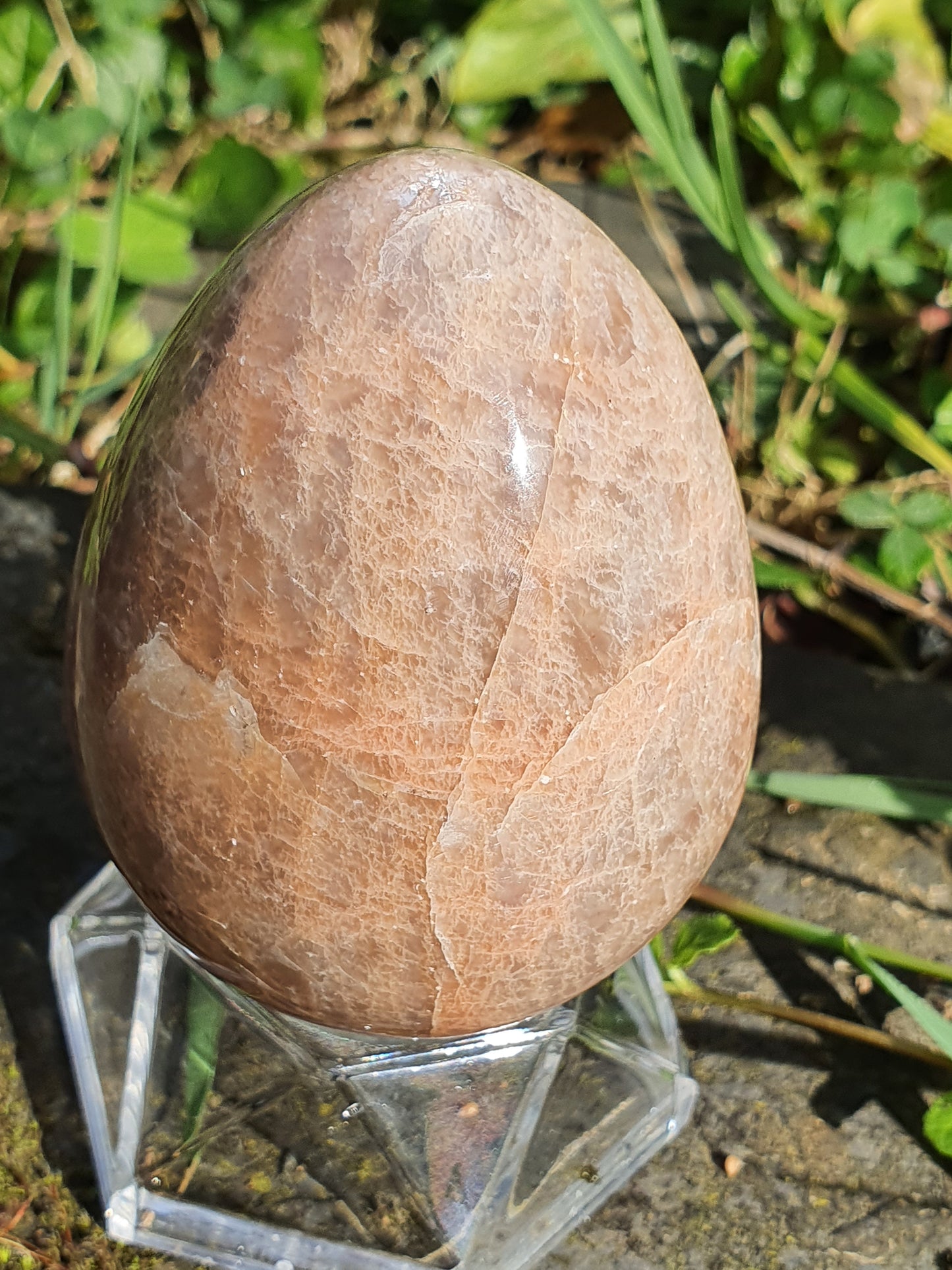 Oeuf Pierre de Lune orange