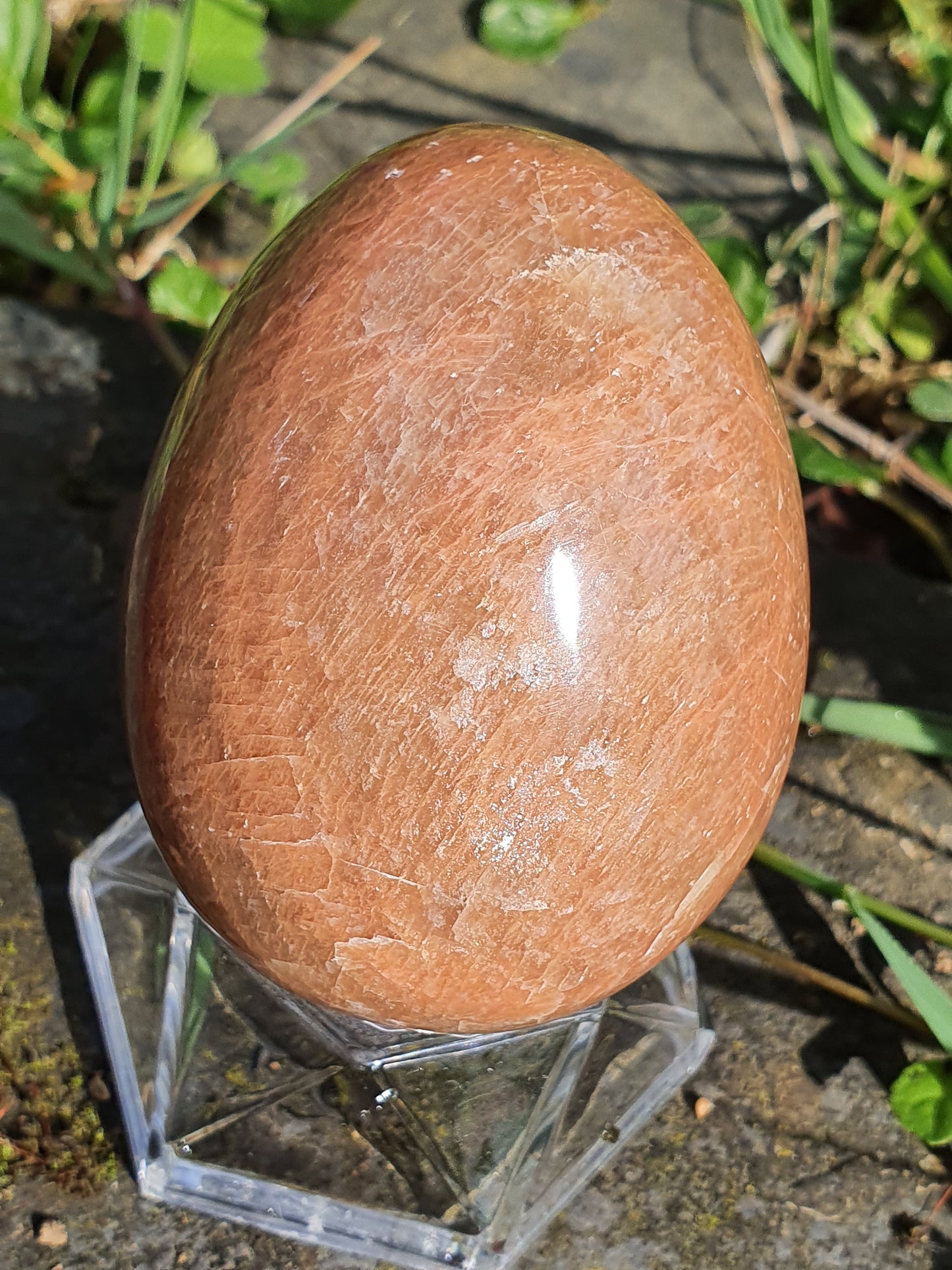 Oeuf Pierre de Lune orange