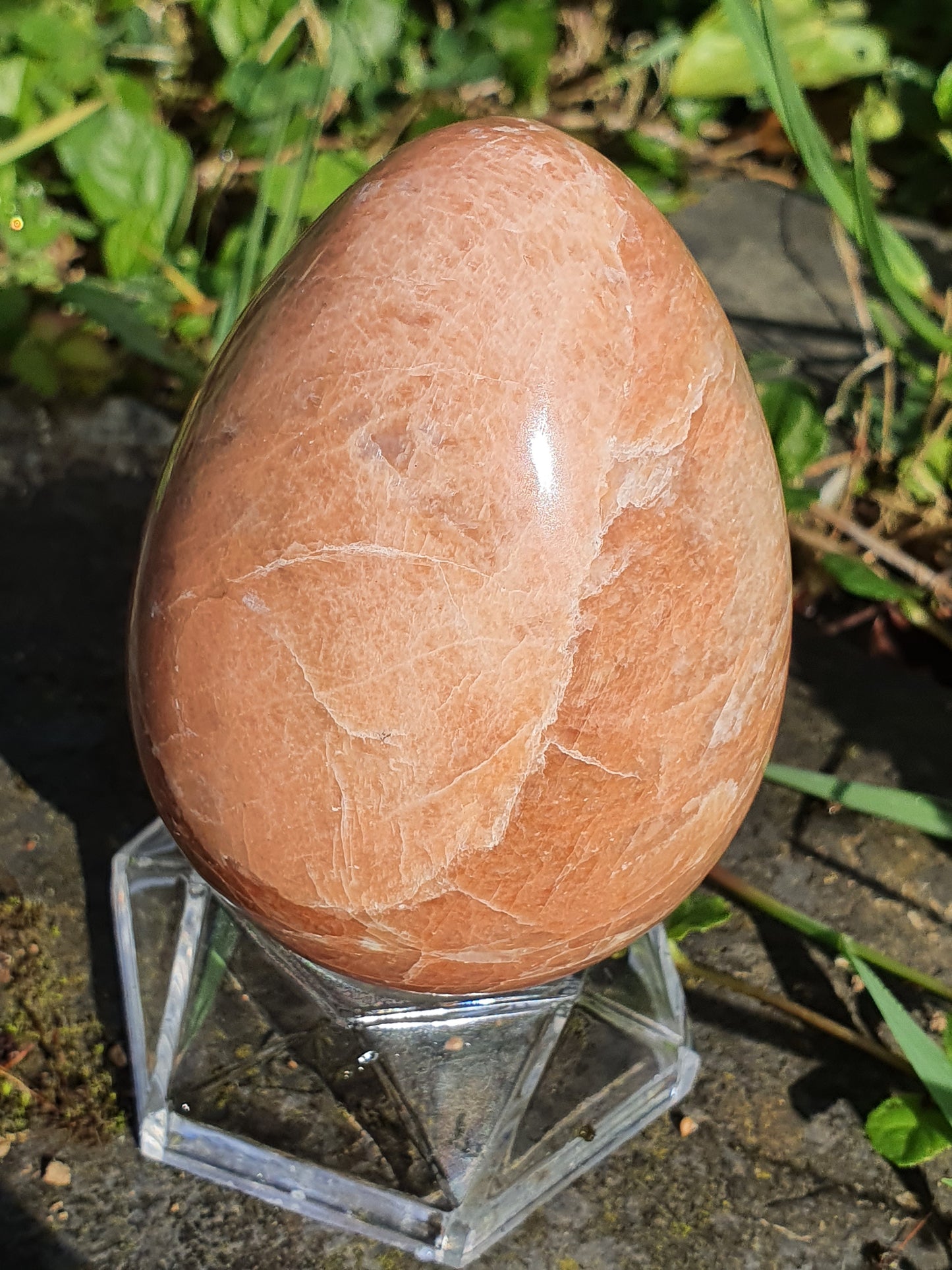 Oeuf Pierre de Lune orange