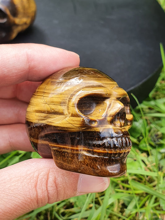 Crâne Œil de tigre