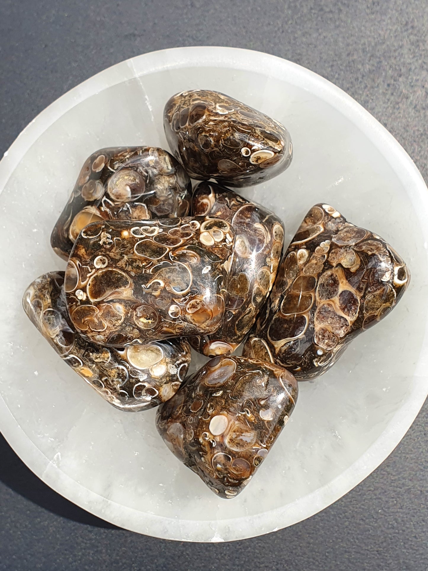 Pierre roulée Agate fossile