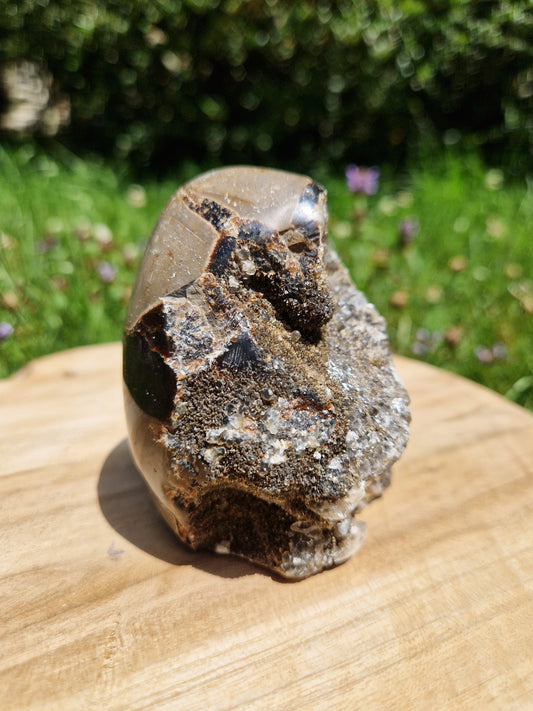 Œuf Septaria sauvage