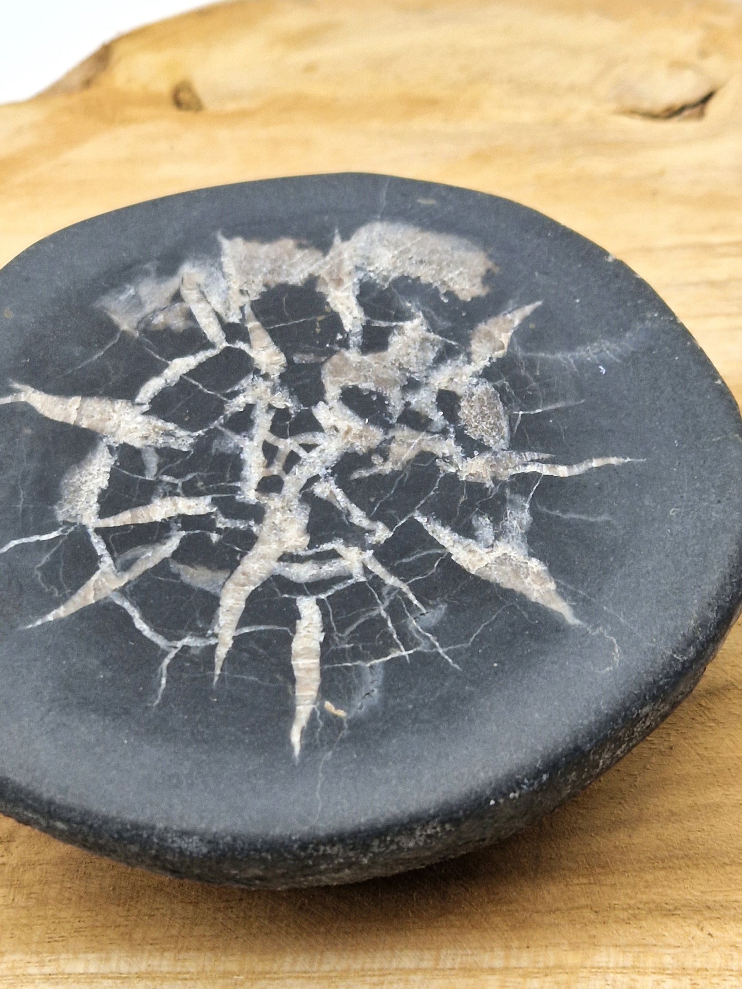 Nodule Septaria français A