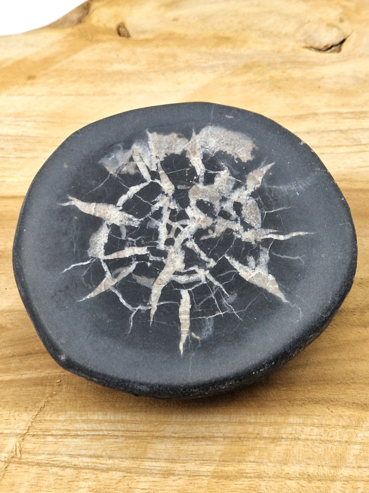 Nodule Septaria français A