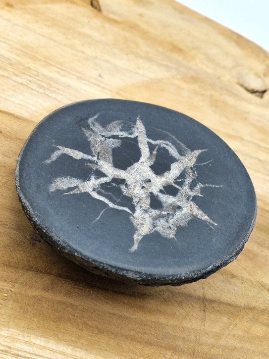 Nodule de Septaria français D