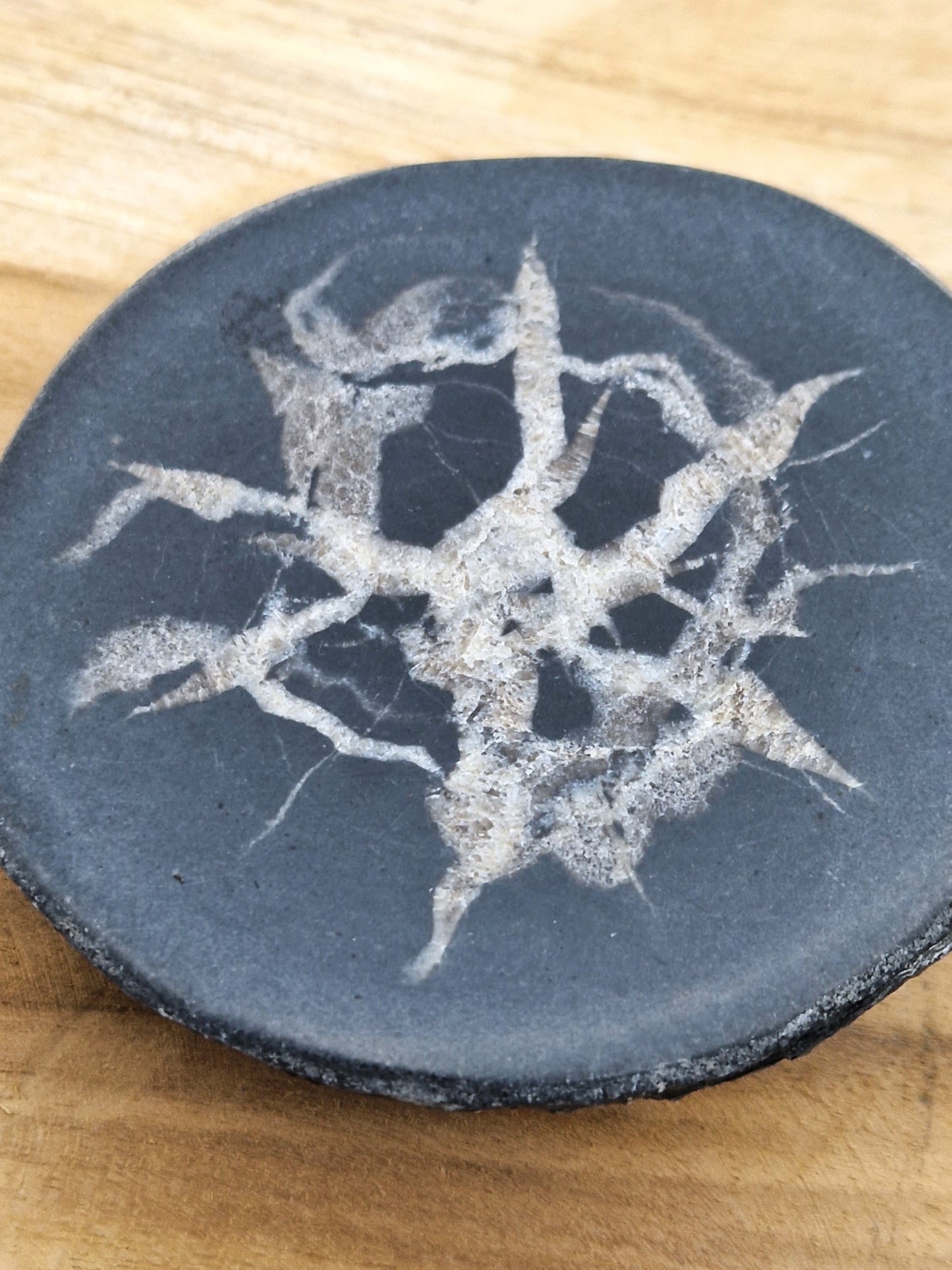 Nodule de Septaria français D