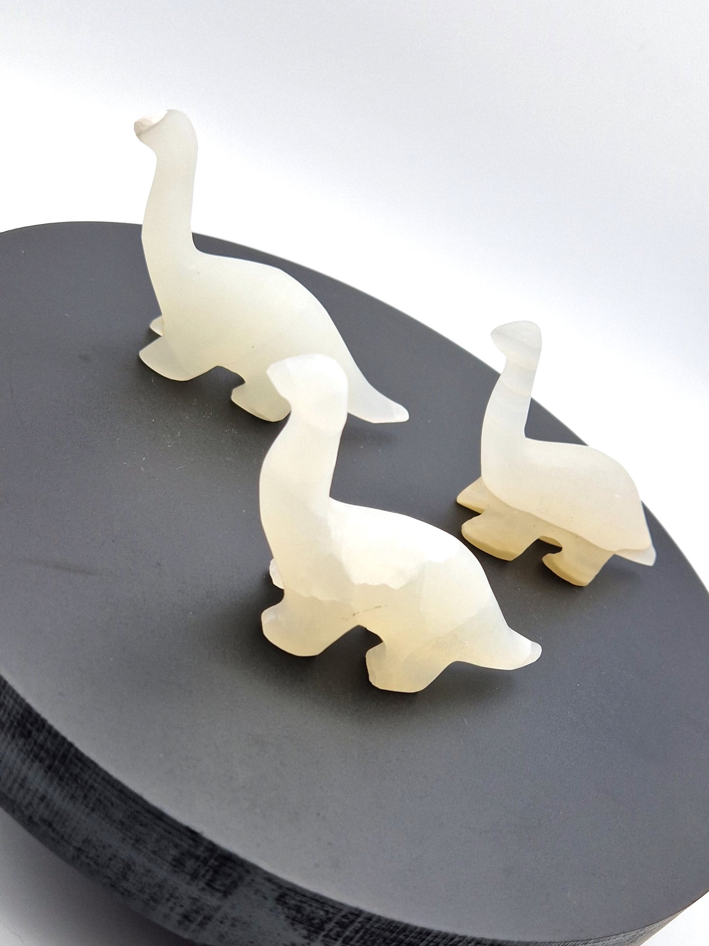 Bébé Apatosaurus en aragonite