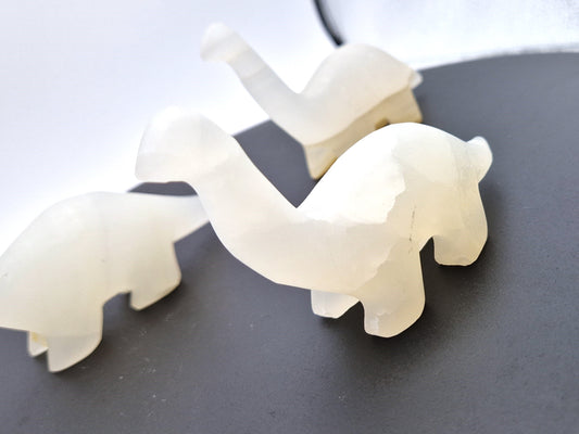 Bébé Apatosaurus en aragonite