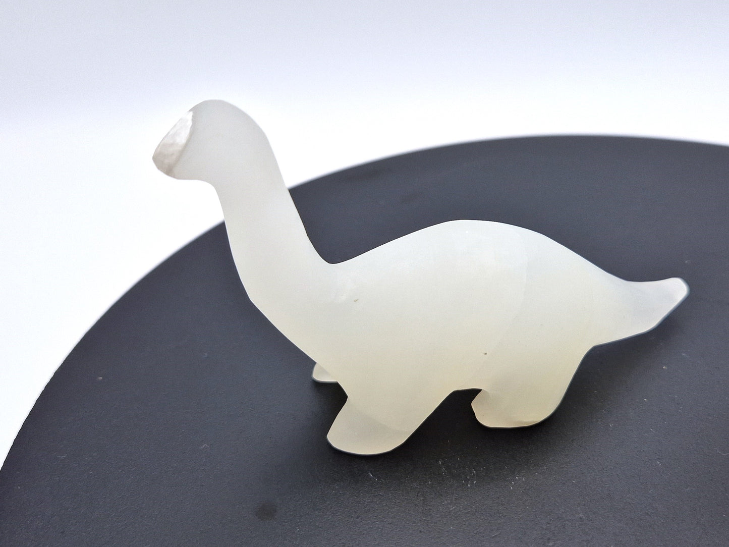 Bébé Apatosaurus en aragonite