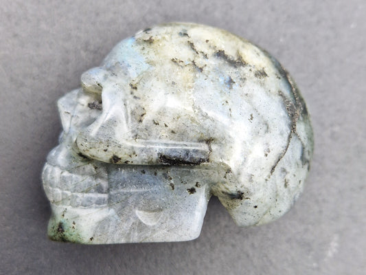 Crâne Labradorite