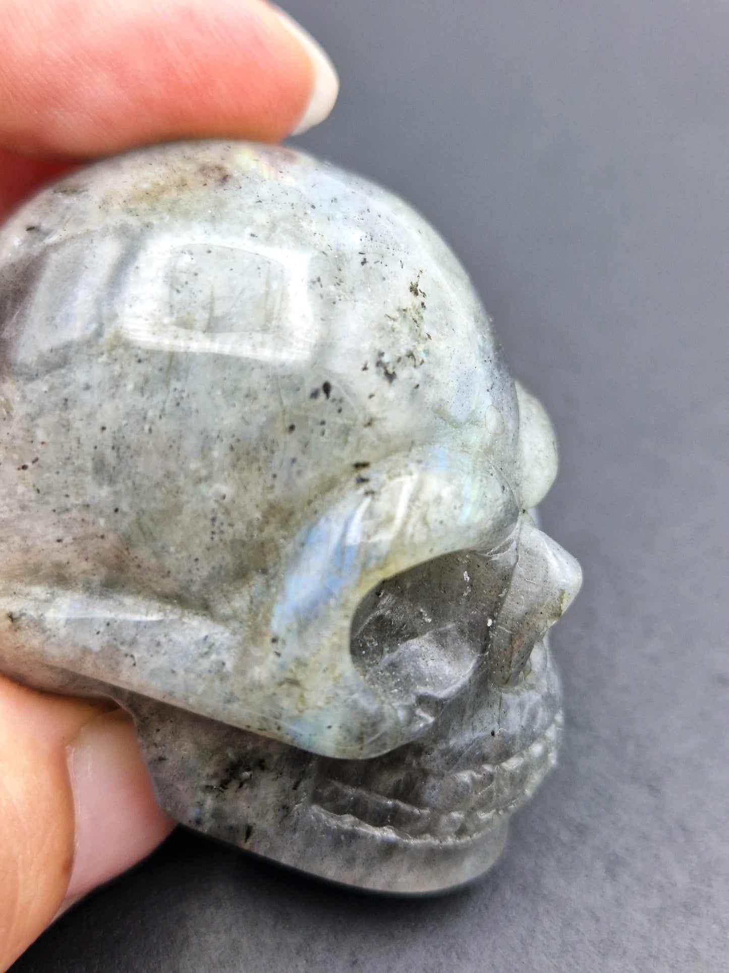 Crâne Labradorite