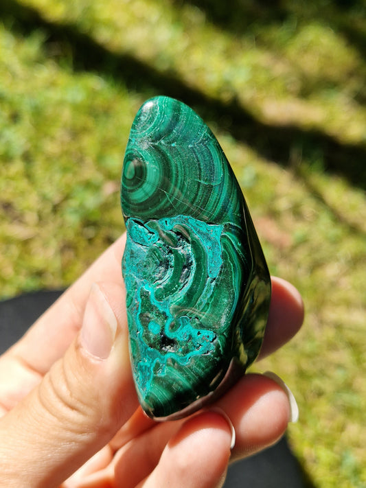 Malachite Chrysocolle veine AAA
