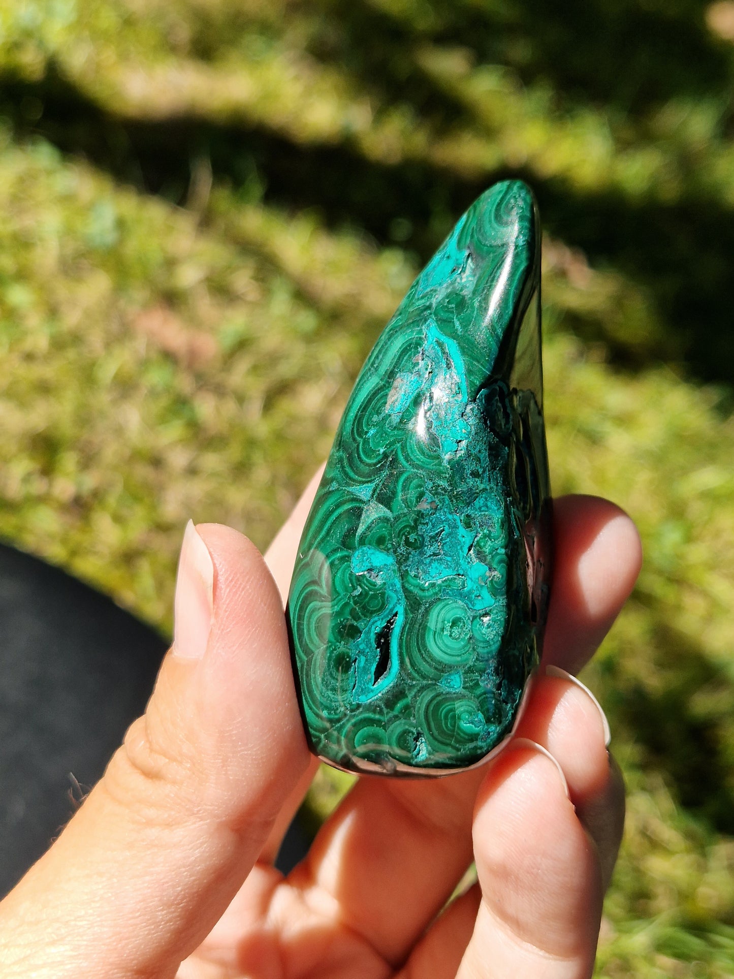 Malachite Chrysocolle veine AAA