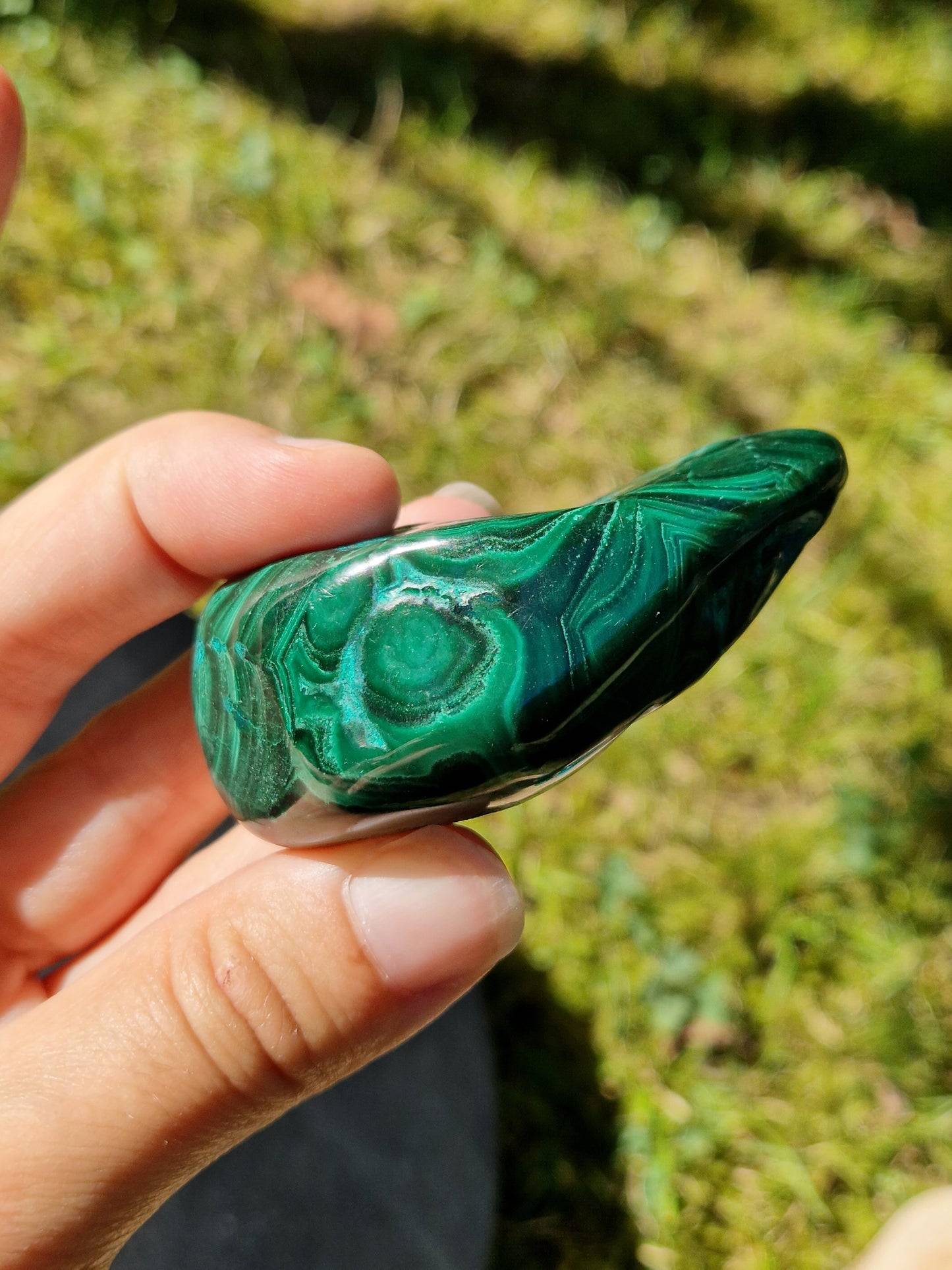Malachite Chrysocolle veine AAA